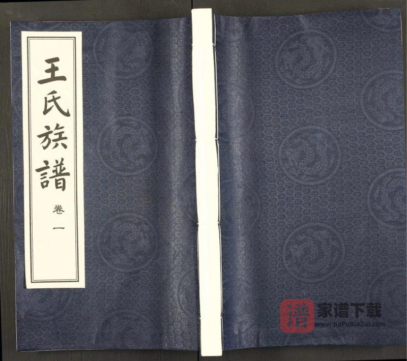 江苏扬州江都区王氏族谱（三槐堂）PDF高清电子版下载-家谱下载
