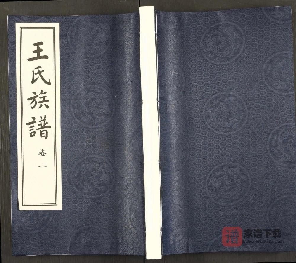 图片[1]-江苏扬州江都区王氏族谱（三槐堂）PDF高清电子版下载-家谱下载