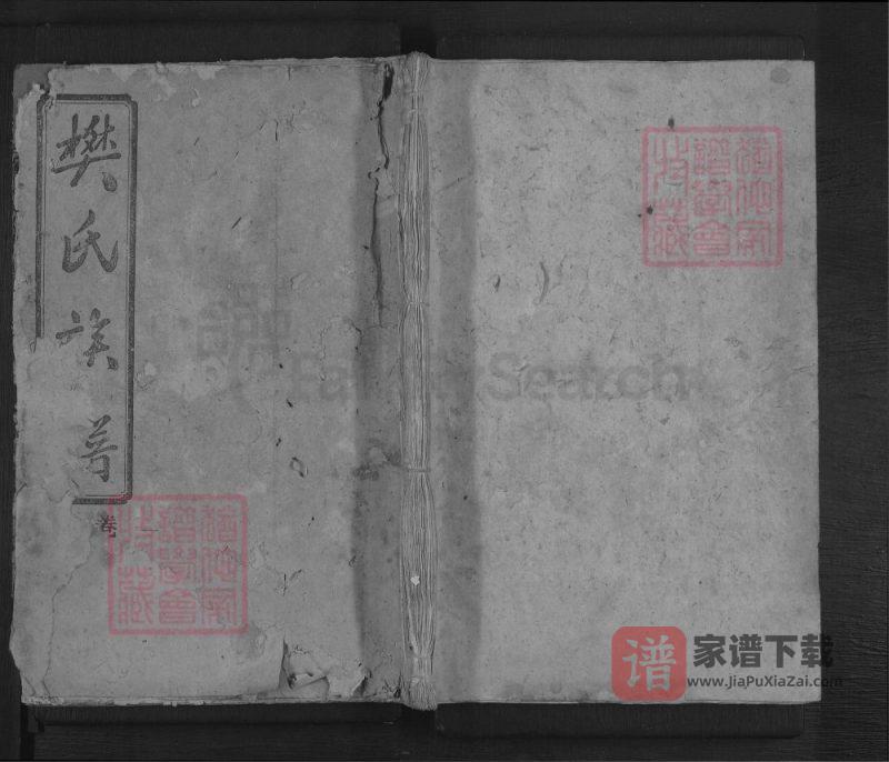 湖南郴州兴宁县管塘樊氏族谱（南阳堂）PDF高清电子版下载-家谱下载