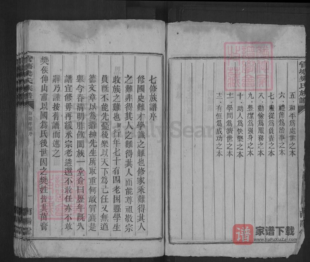 图片[2]-湖南郴州兴宁县管塘樊氏族谱（南阳堂）PDF高清电子版下载-家谱下载