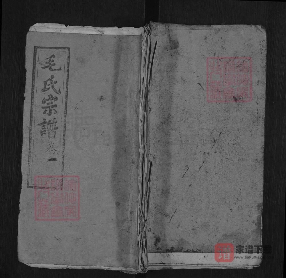 图片[1]-湖北麻城毛氏宗谱（乐寿堂）PDF高清电子版下载-家谱下载