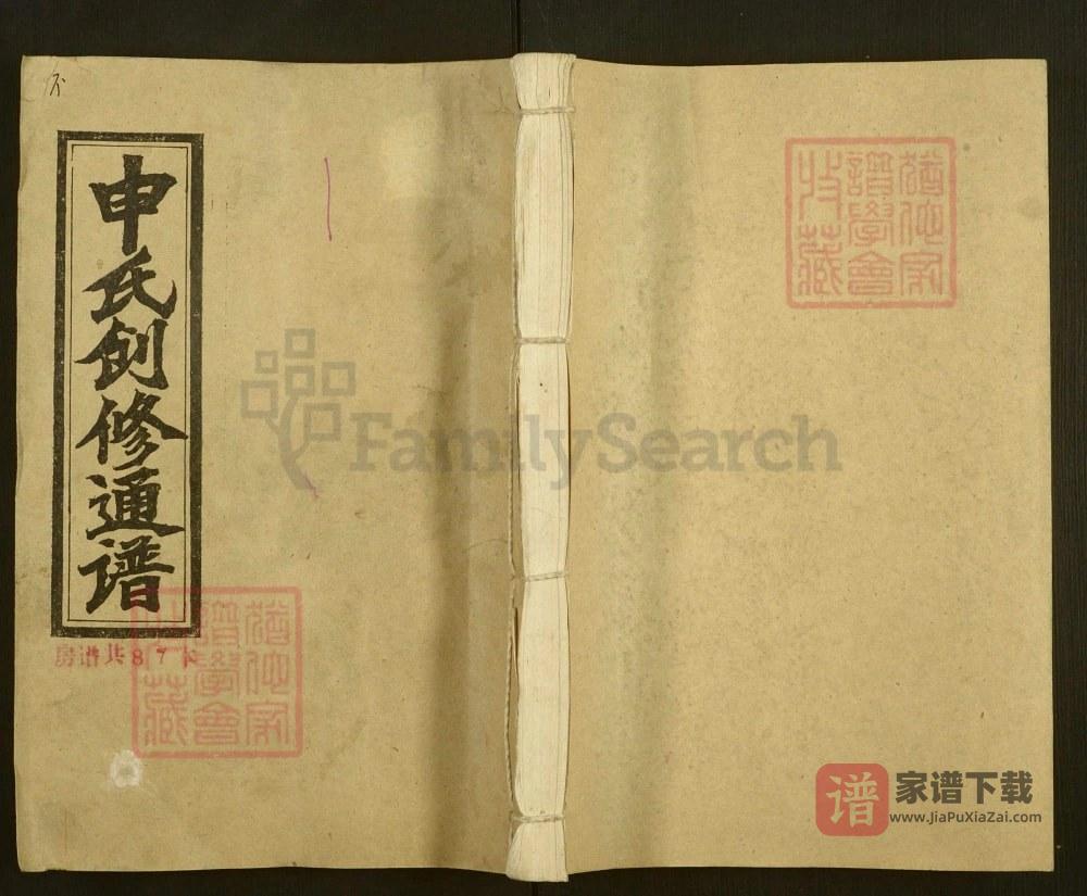 湖南邵阳申氏创修通谱PDF高清电子版下载