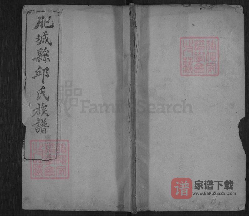 山东肥城县邱氏族谱PDF高清电子版下载-家谱下载