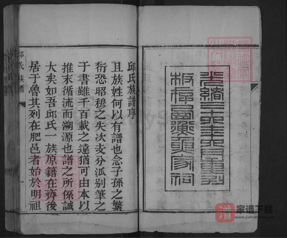 图片[2]-山东肥城县邱氏族谱PDF高清电子版下载-家谱下载