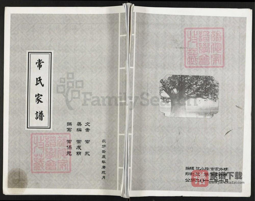 河北邯郸成安县常氏家谱PDF高清电子版下载