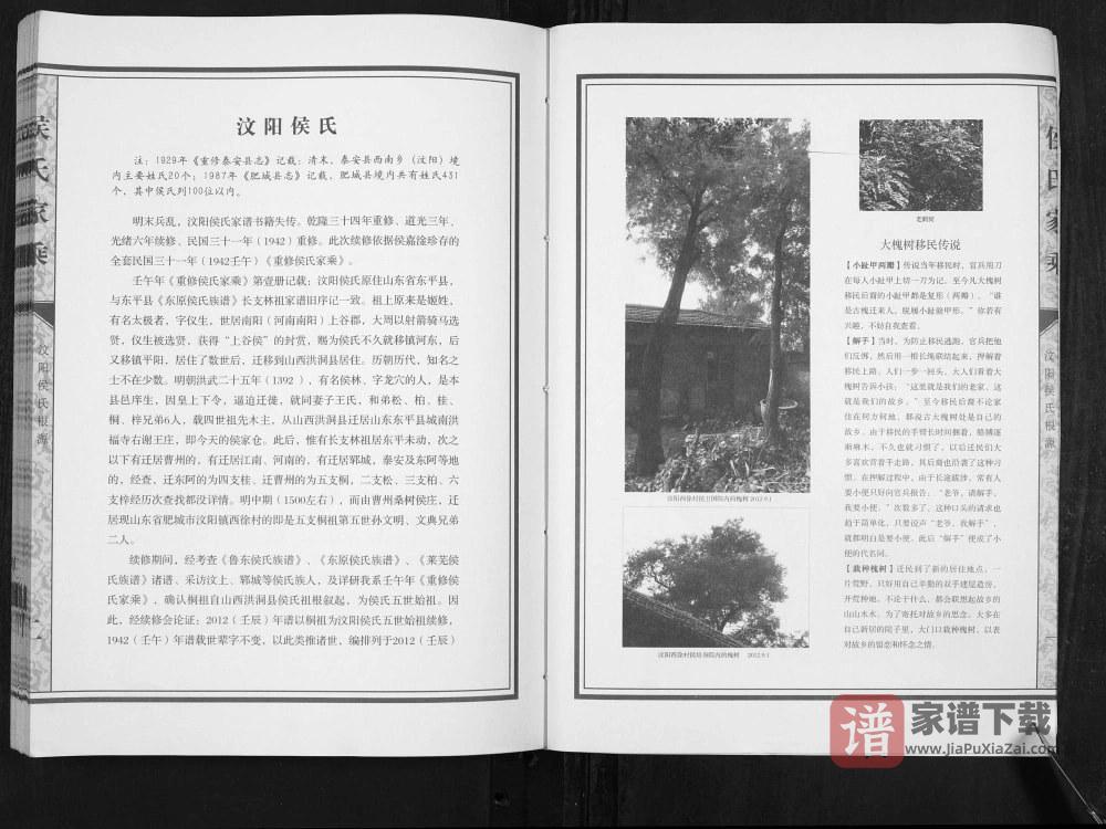 图片[2]-山东肥城汶阳侯氏家乘续修PDF高清电子版下载-家谱下载