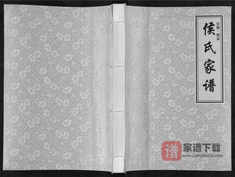 安徽濉溪侯氏家谱PDF高清电子版下载-家谱下载