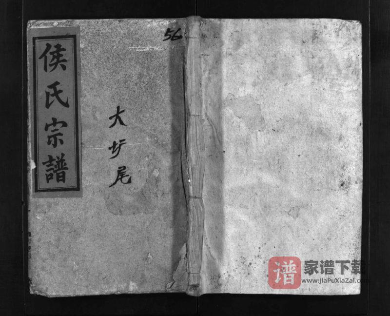 湖南郴州桂阳侯氏宗谱（清忠堂）PDF高清电子版下载-家谱下载