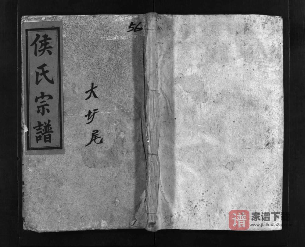湖南郴州桂阳侯氏宗谱（清忠堂）PDF高清电子版下载