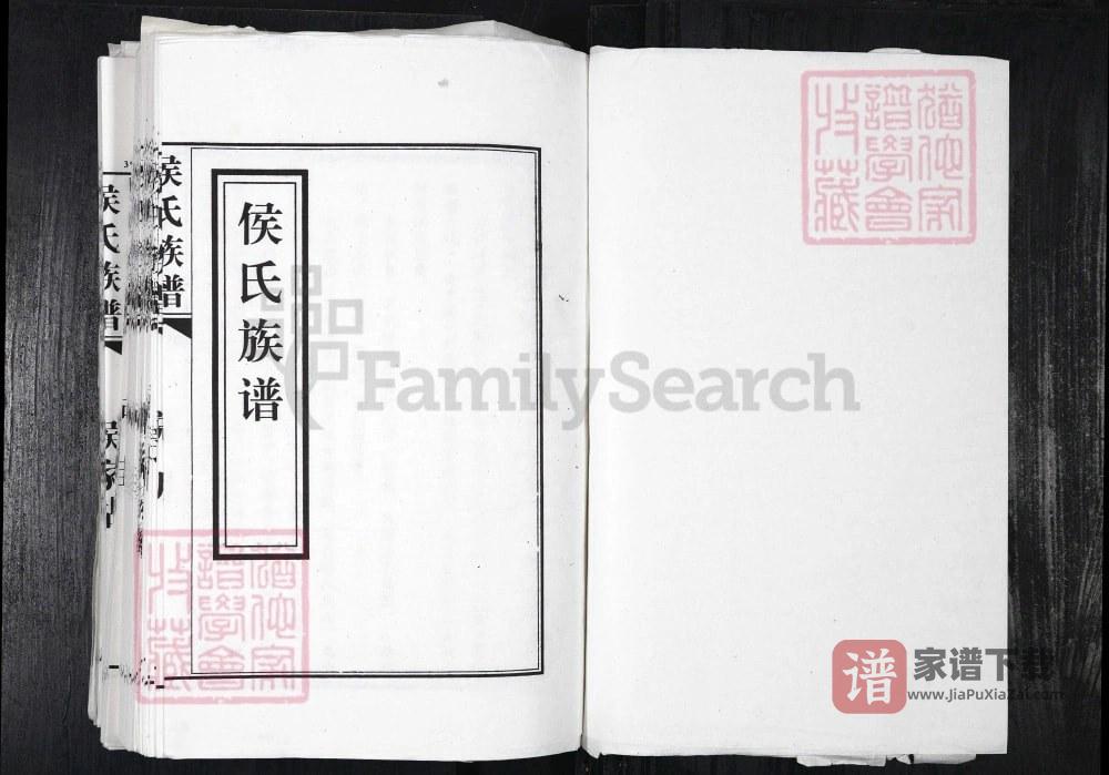 山东平度侯氏族谱PDF高清电子版下载