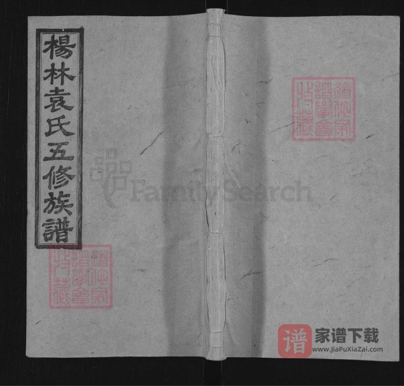 湖南邵阳杨林袁氏五修族谱(敦睦堂)PDF高清电子版下载-家谱下载