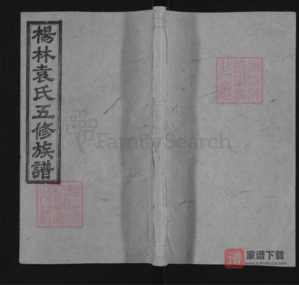 湖南邵阳杨林袁氏五修族谱（敦睦堂）PDF高清电子版下载