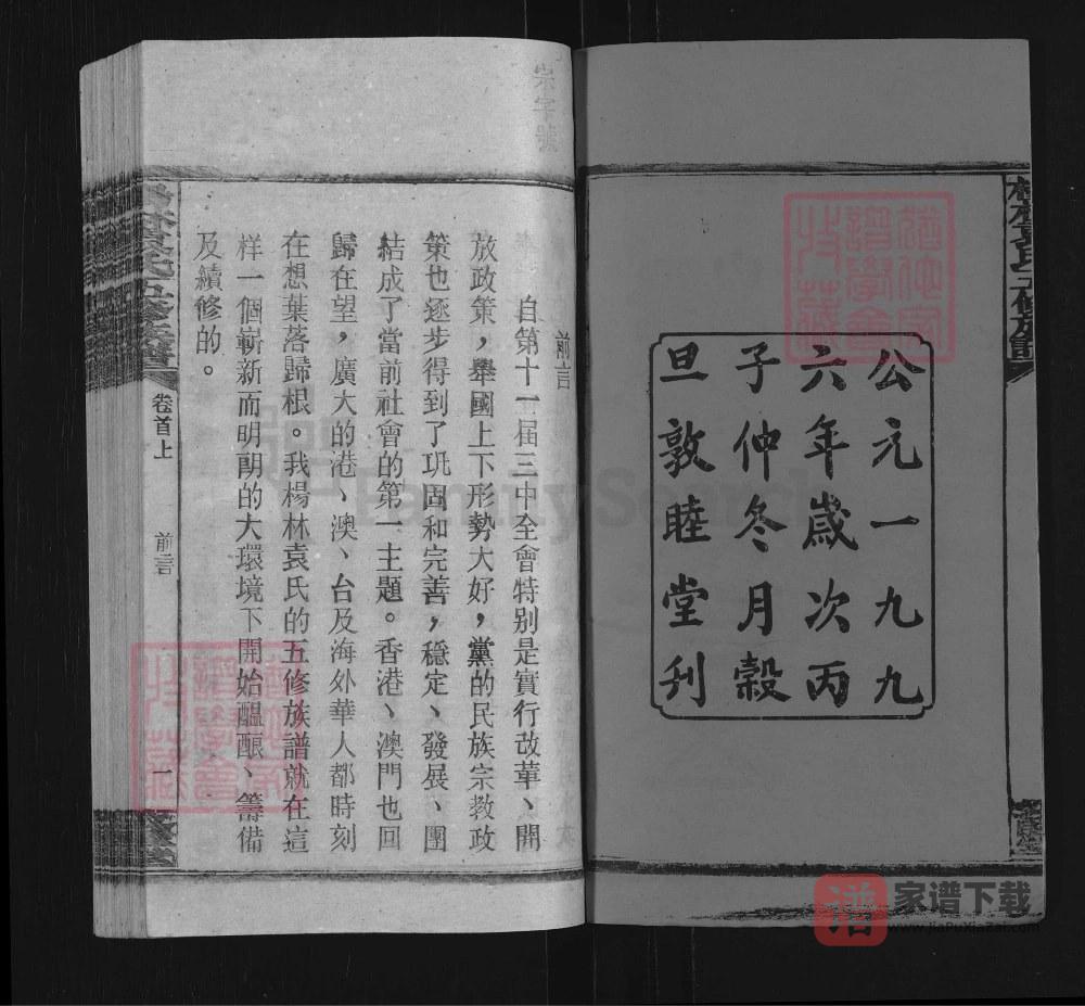 图片[2]-湖南邵阳杨林袁氏五修族谱（敦睦堂）PDF高清电子版下载-家谱下载