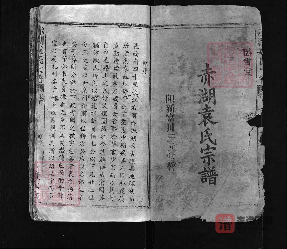 图片[2]-湖北大冶赤湖袁氏宗谱（敦本堂）PDF高清电子版下载-家谱下载