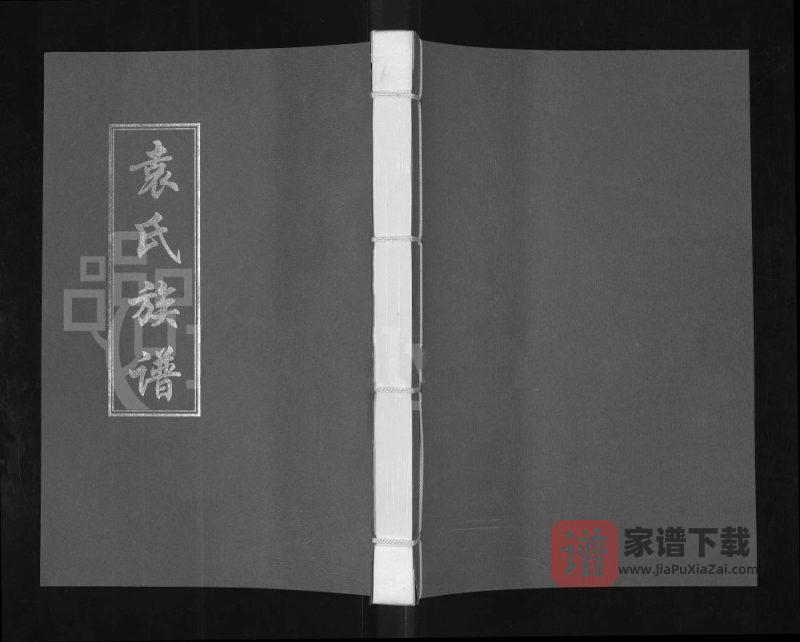 河南开封兰考袁氏族谱PDF高清电子版下载-家谱下载