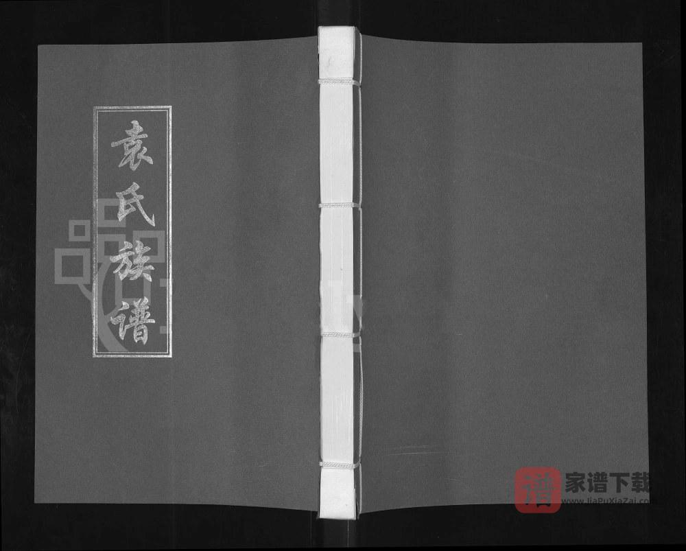 河南开封兰考袁氏族谱PDF高清电子版下载