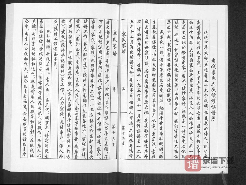 图片[2]-河南开封兰考袁氏族谱PDF高清电子版下载-家谱下载