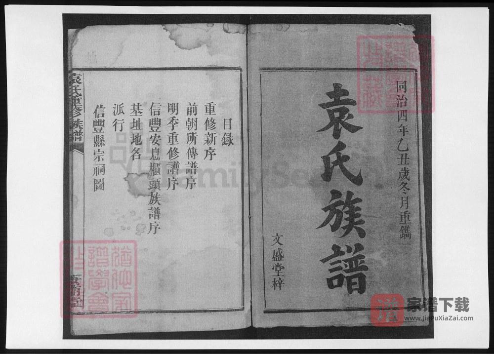 江西信丰湖南平江袁氏重修族谱（汝南堂）PDF高清电子版下载