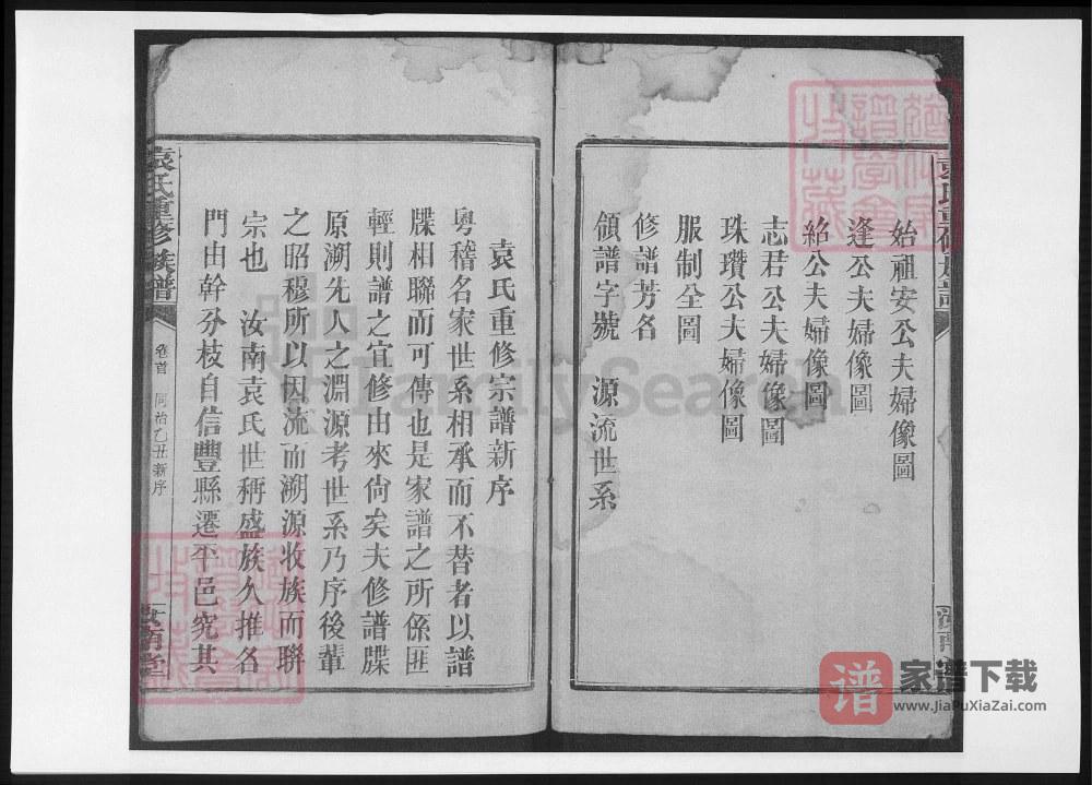 图片[2]-江西信丰湖南平江袁氏重修族谱（汝南堂）PDF高清电子版下载-家谱下载