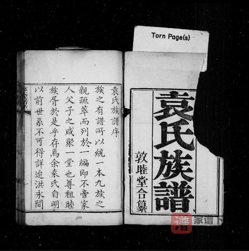 山东青岛即墨袁氏族谱（敦睦堂）PDF高清电子版下载-家谱下载