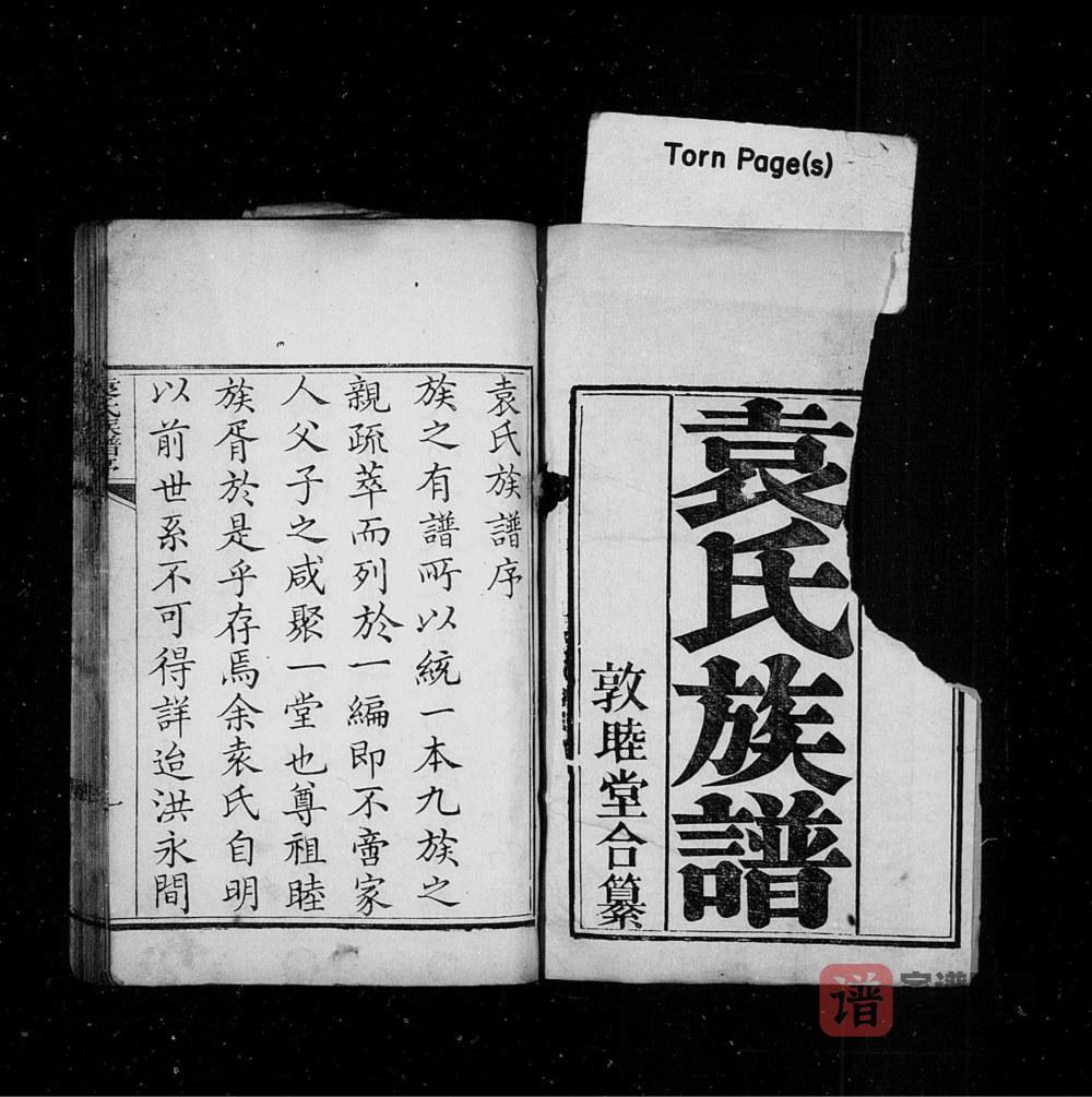 山东青岛即墨袁氏族谱（敦睦堂）PDF高清电子版下载