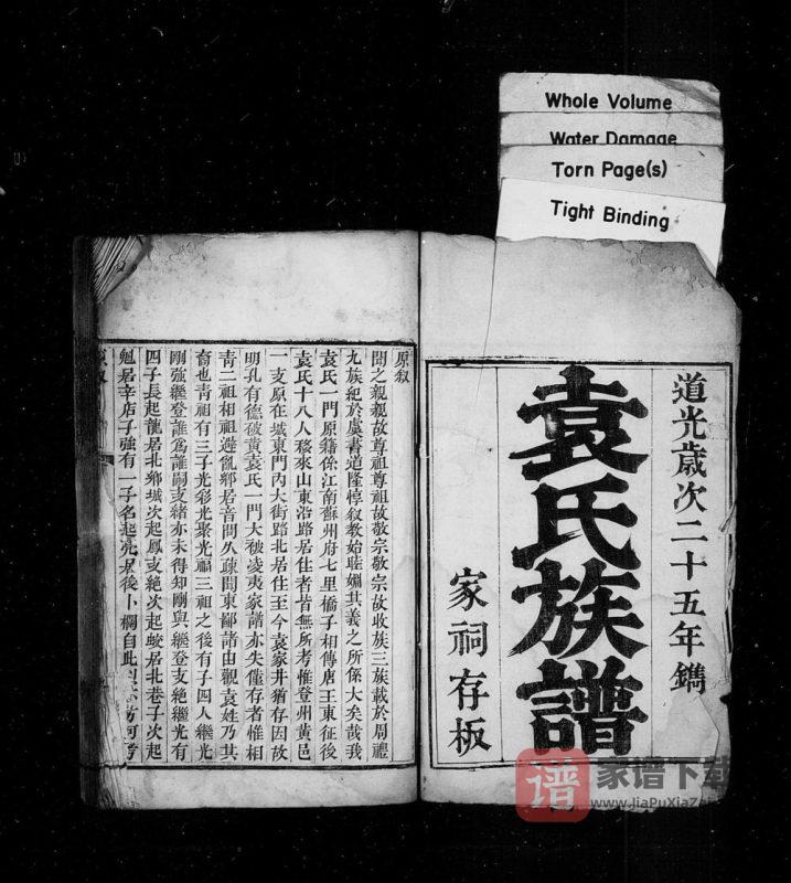 山东龙口市芝阳袁氏族谱PDF高清电子版下载-家谱下载