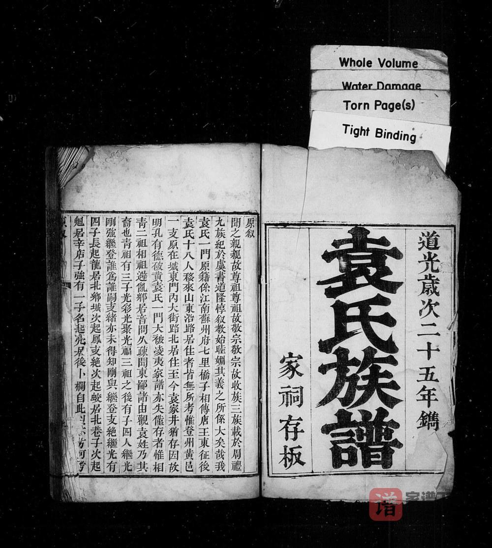 图片[1]-山东龙口市芝阳袁氏族谱PDF高清电子版下载-家谱下载