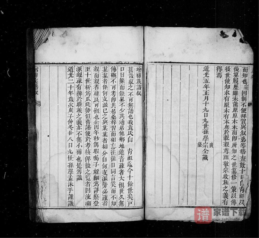 图片[2]-山东龙口市芝阳袁氏族谱PDF高清电子版下载-家谱下载