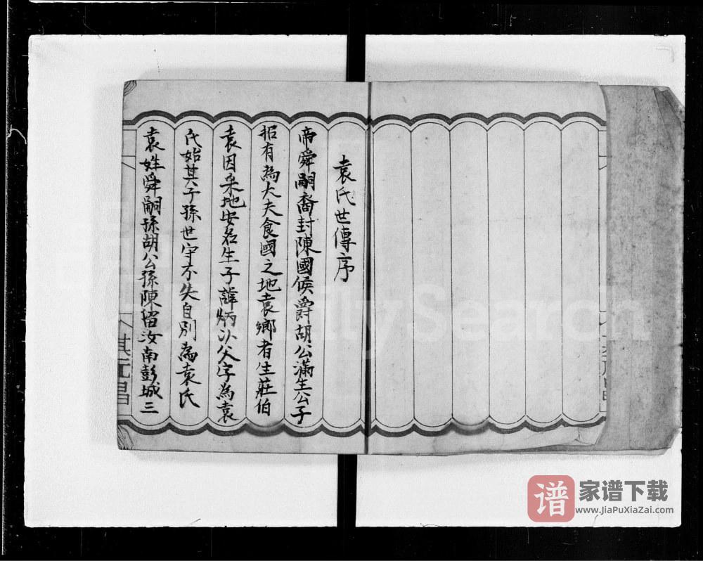 图片[2]-广东河源袁氏族谱PDF高清电子版下载-家谱下载