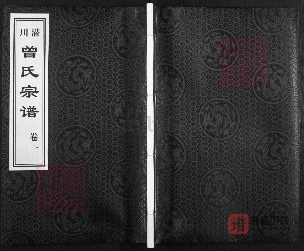 安徽合肥庐江县潜川曾氏宗谱（三省堂）PDF高清电子版下载
