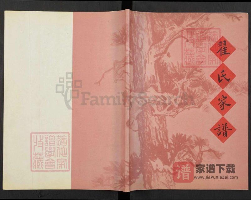 辽宁凌海翟氏家谱PDF高清电子版下载-家谱下载