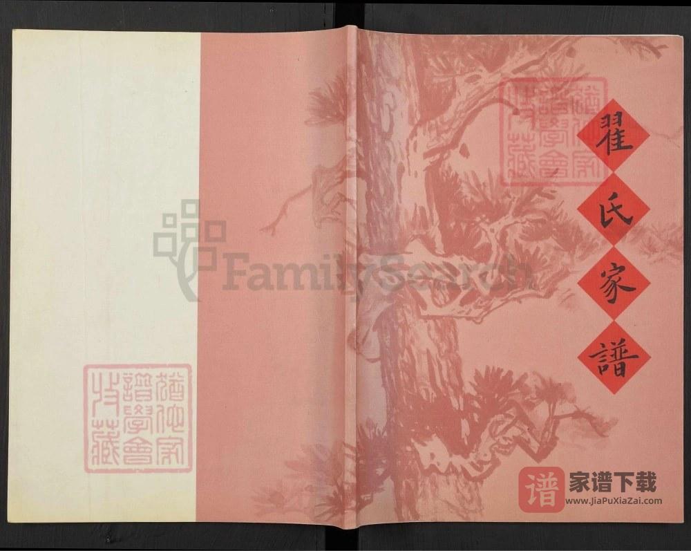 辽宁凌海翟氏家谱PDF高清电子版下载