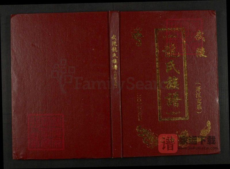 四川达州开江县武陵龙氏族谱(开江支系)PDF高清电子版下载-家谱下载