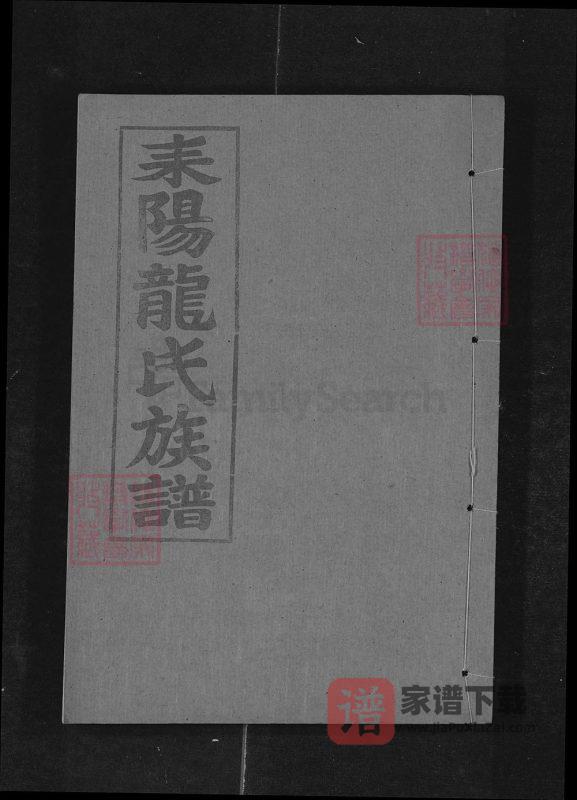 湖南耒阳龙氏族谱(敦厚堂)PDF高清电子版下载-家谱下载