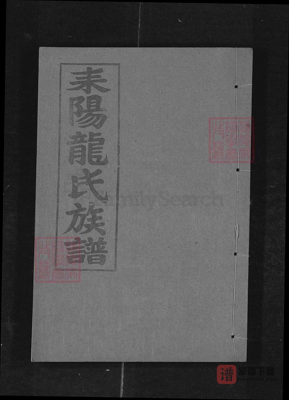 湖南耒阳龙氏族谱（敦厚堂）PDF高清电子版下载