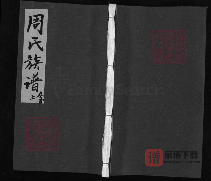 湖南浏阳周氏族谱(汝南堂)PDF高清电子版下载-家谱下载