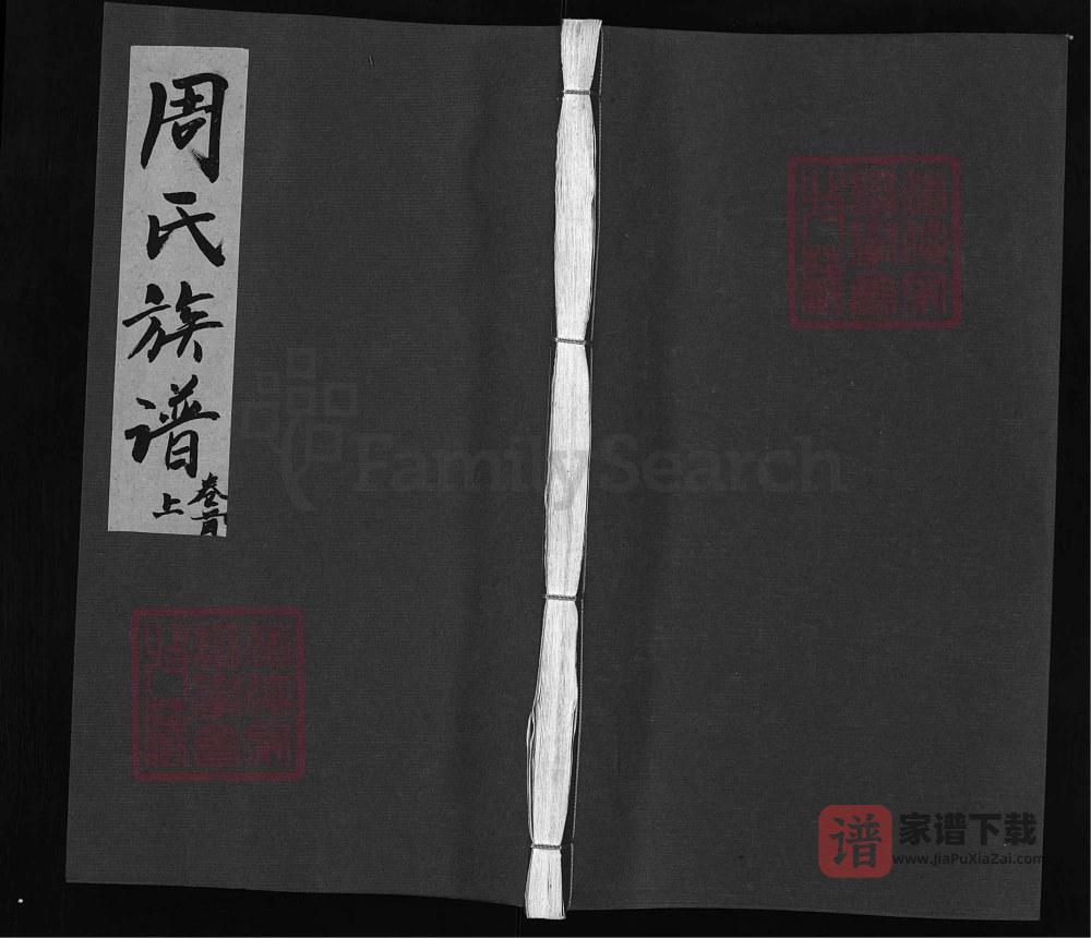 湖南浏阳周氏族谱（汝南堂）PDF高清电子版下载