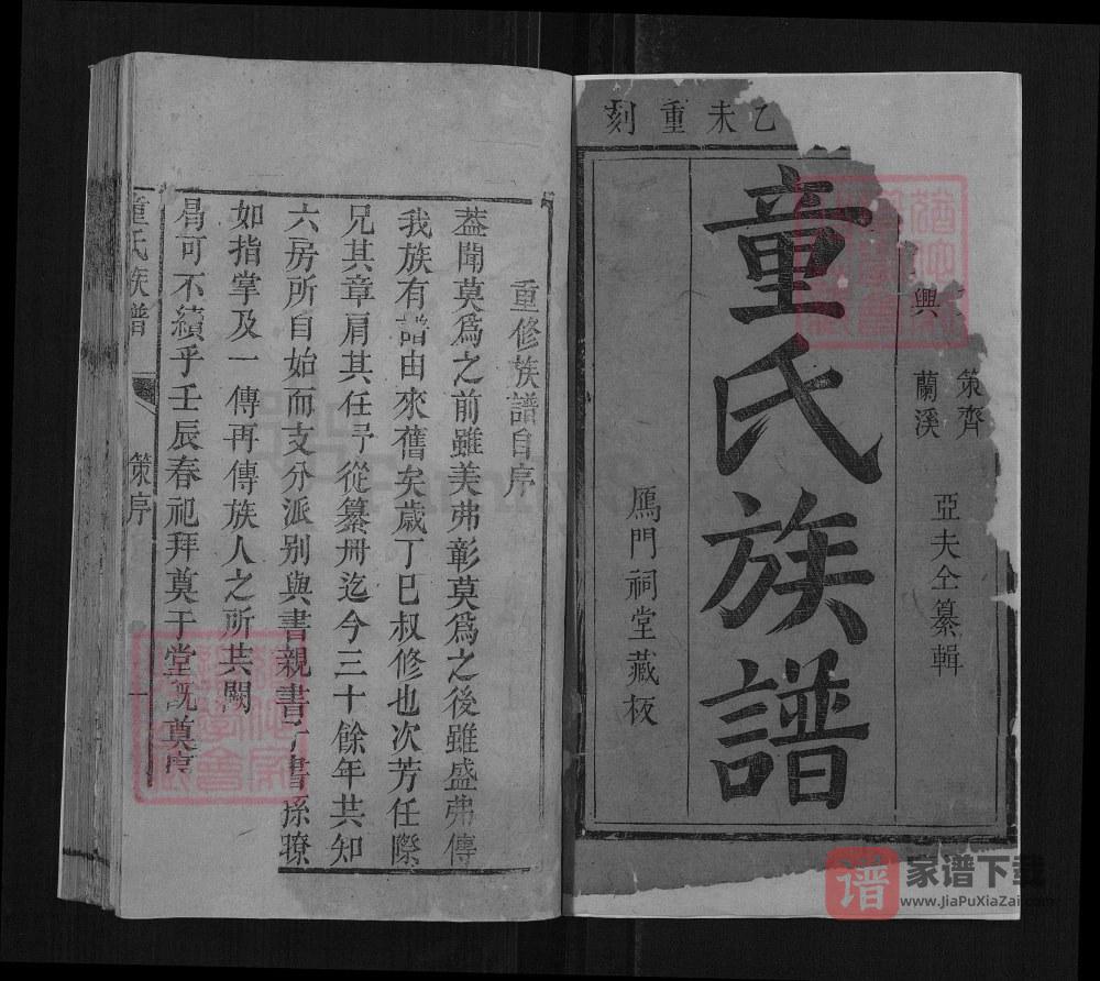 图片[1]-湖南岳阳平江童氏族谱PDF高清电子版下载-家谱下载
