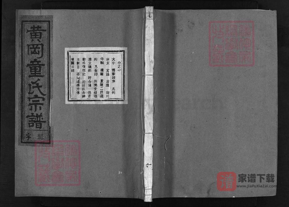 图片[1]-浙江兰溪黄冈童氏宗谱（世美堂）PDF高清电子版下载-家谱下载
