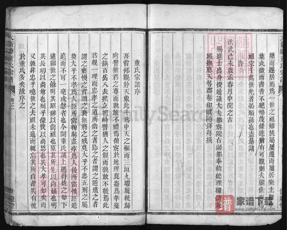 图片[2]-浙江兰溪大新塘童氏宗谱（世庆堂）PDF高清电子版下载-家谱下载