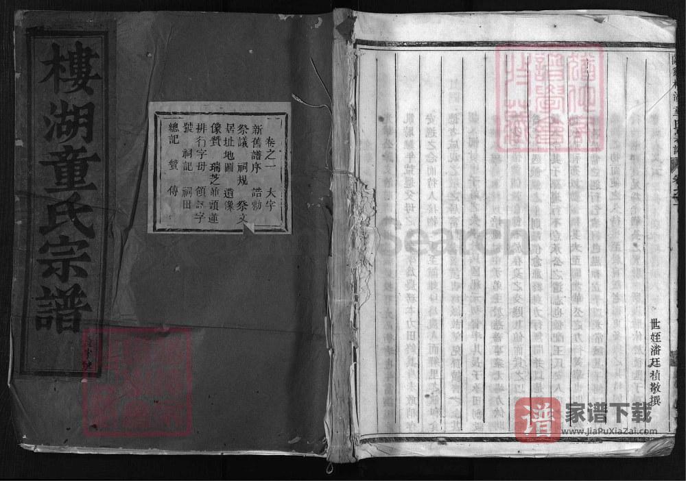 图片[1]-浙江兰溪楼湖童氏宗谱PDF高清电子版下载-家谱下载