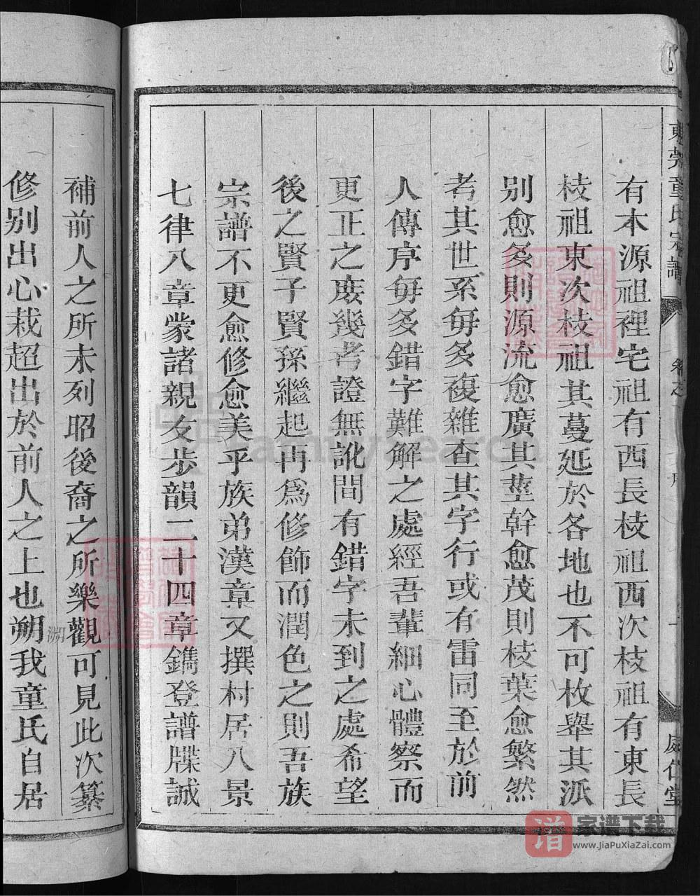 图片[2]-浙江兰溪东莞童氏宗谱（处仁堂）PDF高清电子版下载-家谱下载