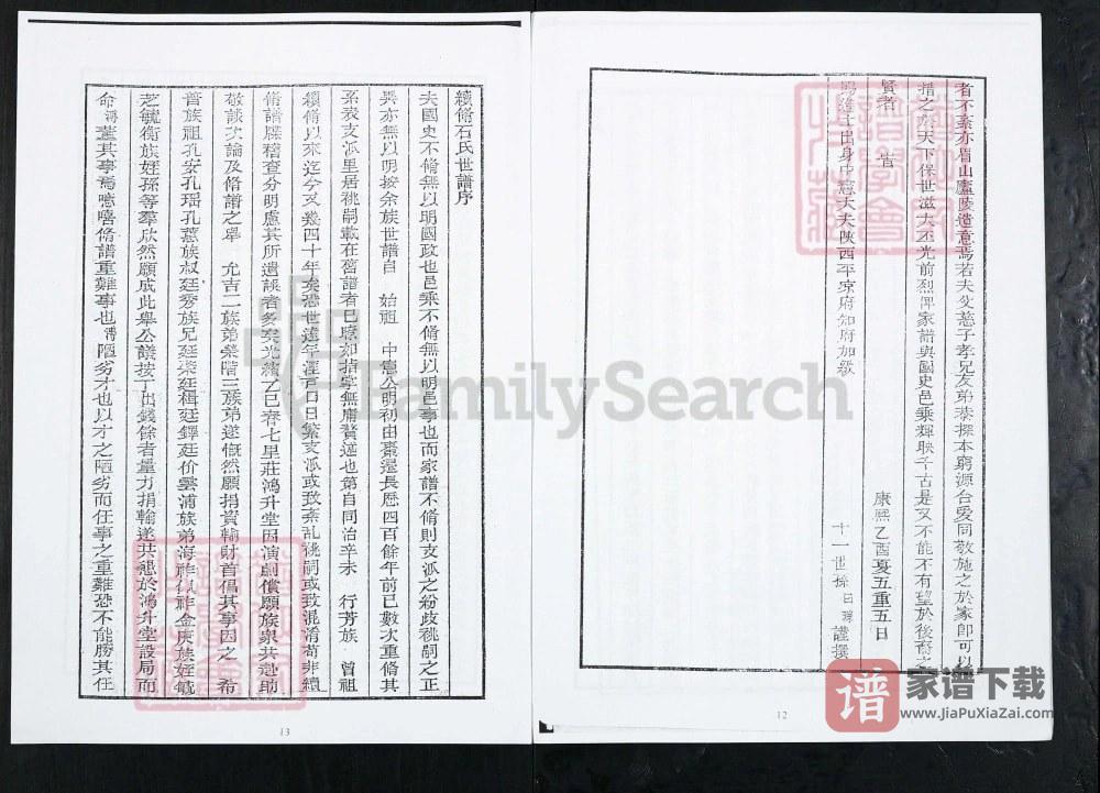 图片[2]-山东淄博石氏世谱PDF高清电子版下载-家谱下载