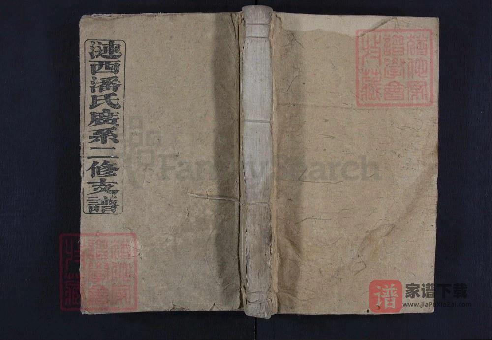 湖南湘乡涟西潘氏广系二修支谱（荥阳堂）PDF高清电子版下载