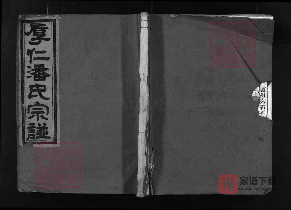 浙江兰溪厚仁潘氏宗谱（九思堂）PDF高清电子版下载