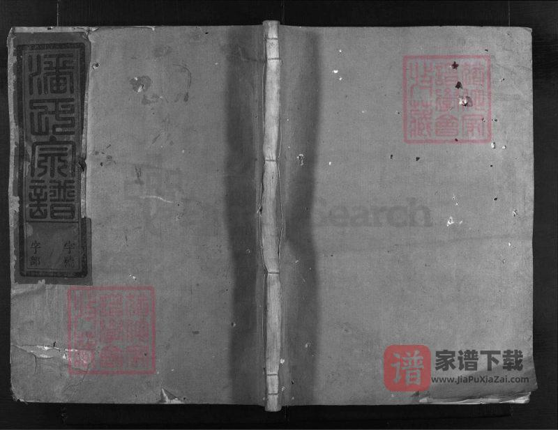 浙江兰溪石龙头潘氏宗谱（振清堂）PDF高清电子版下载-家谱下载