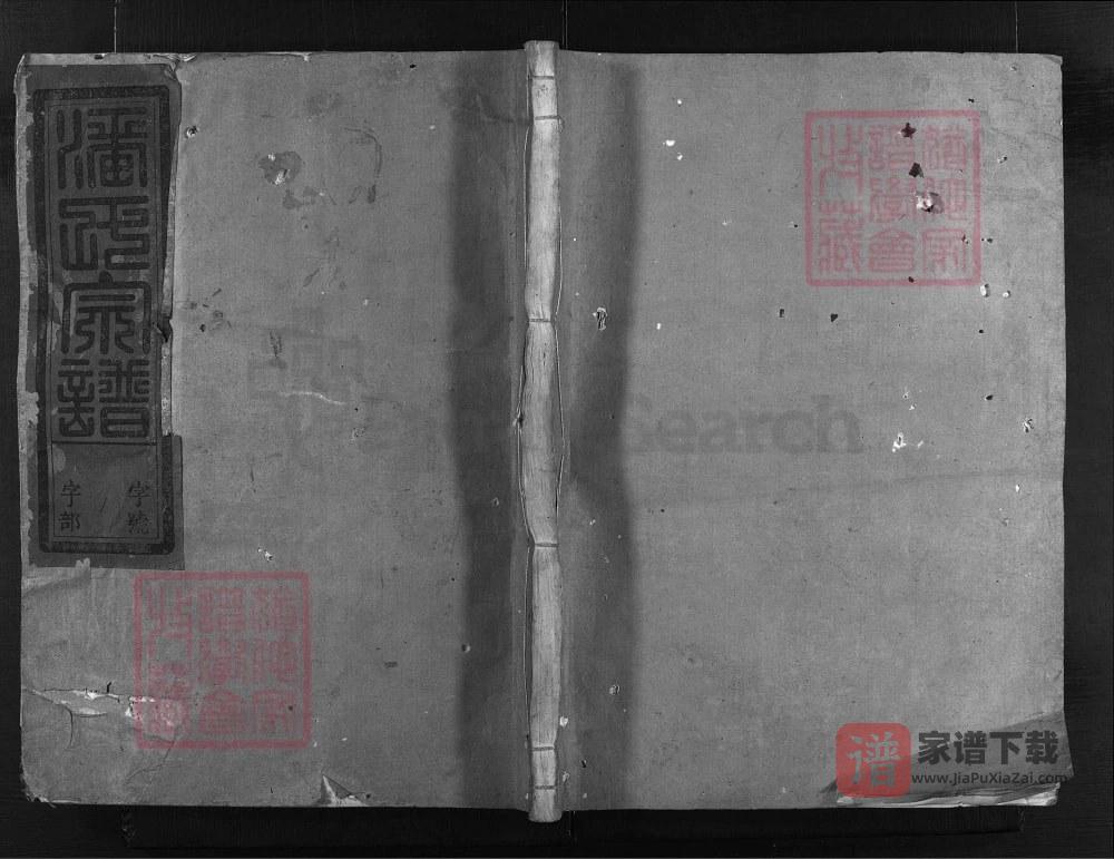浙江兰溪石龙头潘氏宗谱（振清堂）PDF高清电子版下载