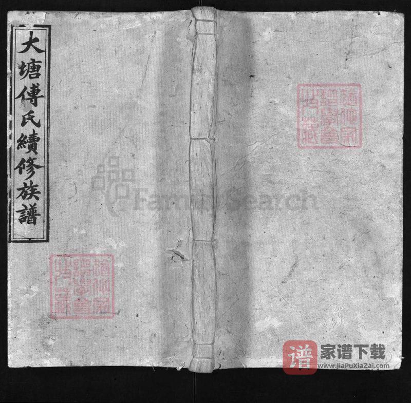 湖南湘乡大塘傅氏续修族谱（霖雨堂）PDF高清电子版下载-家谱下载