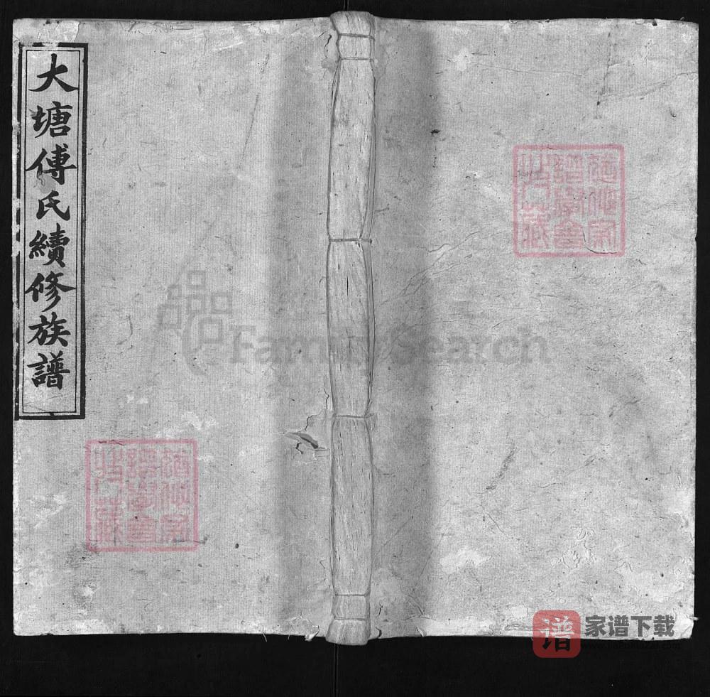 湖南湘乡大塘傅氏续修族谱（霖雨堂）PDF高清电子版下载