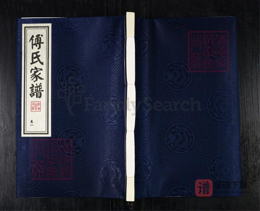 河北衡水故城傅氏家谱（对越堂）PDF高清电子版下载